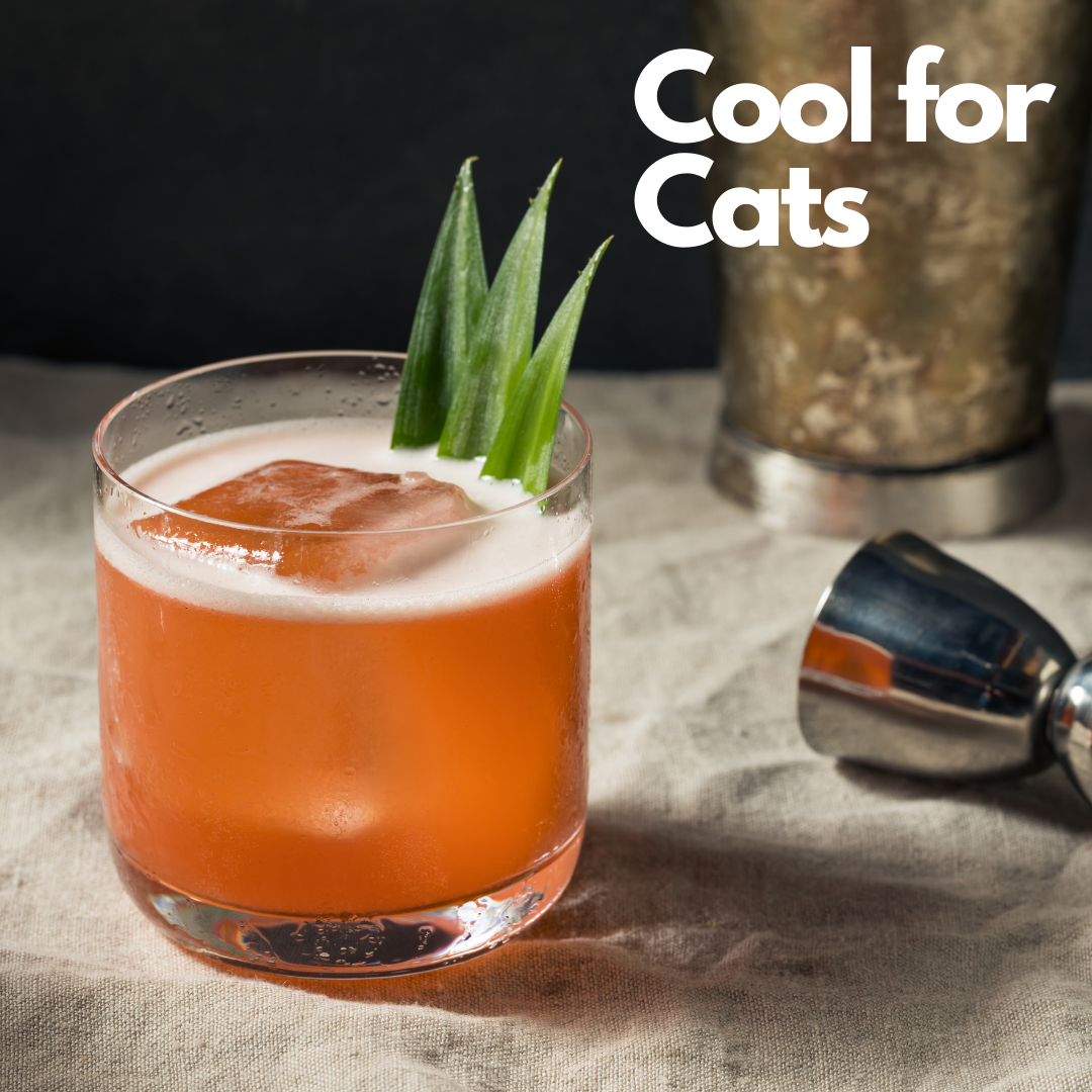 Cool for Cats cocktail